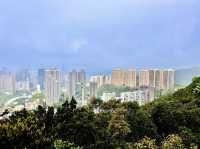 市區簡易郊遊 - 黃泥涌峽徑