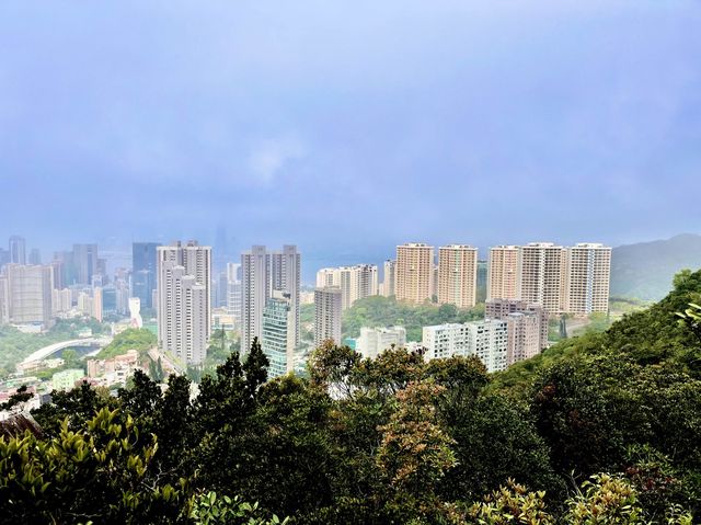 市區簡易郊遊 - 黃泥涌峽徑