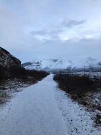 Glacier Walks and Midnight Suns