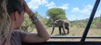 5  Days Tanzania wildlife safari 