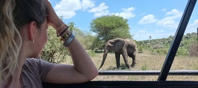 5  Days Tanzania wildlife safari 