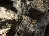 Cango Caves - A Beginners Spelunk