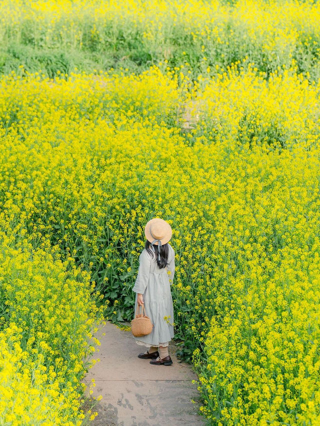 🪴 월암교 🌻 