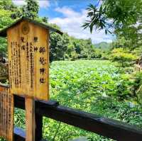 《嵐山竹林小徑》🎋京都不能錯過的景點🎋
