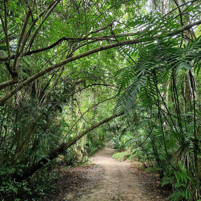 Tikal National Park 🗺️