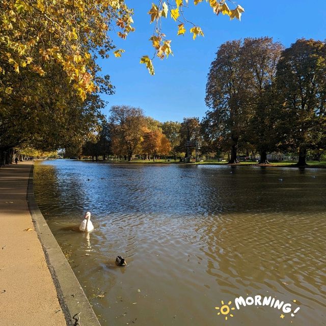 Autumn Vibes 🍂🍁🍂🍁🍂