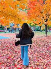 가을 토론토 시내 탐험 🍂
