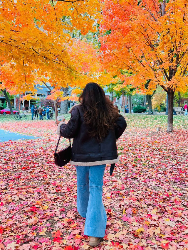 가을 토론토 시내 탐험 🍂