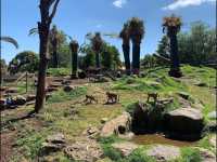 The Melbourne Zoo