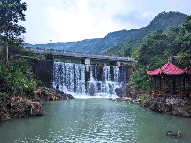 九龍谷森林公園