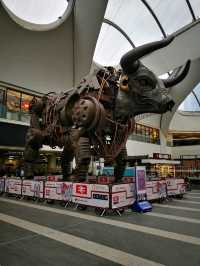 Birmingham on Foot: A Journey Through History and Culture