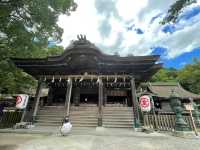 The nickname of "Konpira-san"