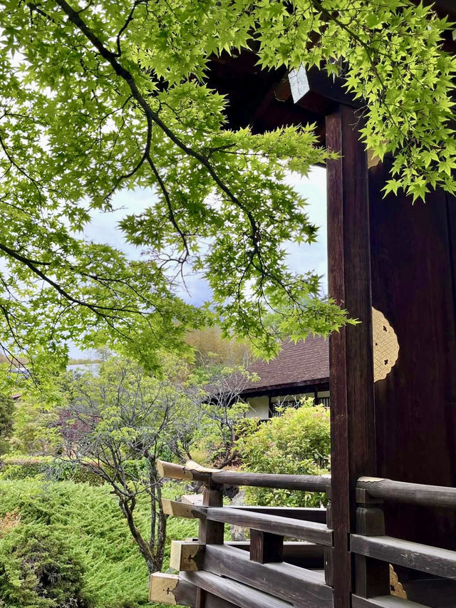 A Rainy Spring Day at Kajū-ji Temple