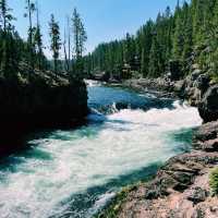 🚗🌲 Top Transportation Tips for Exploring Yellowstone National Park