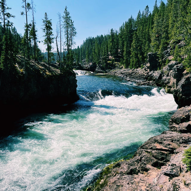 🚗🌲 Top Transportation Tips for Exploring Yellowstone National Park
