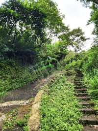 走讀姜子寮聚落及森林療癒步道～絕壁步道