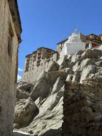 Royal Palace lost in mountains 