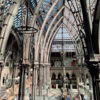 🦕🏛️ Explore Oxford’s Free Natural History Museum! 🇬🇧✨
