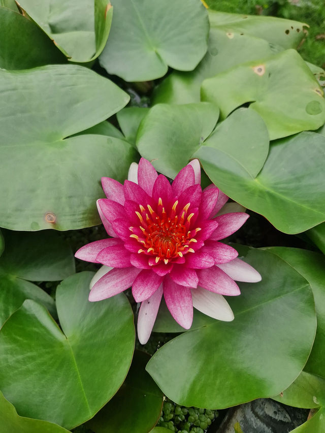 Where spirituality meets surreal art – exploring Buddha Park.
