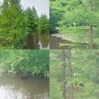 Nanjing, the Zhongshan Mountain National Park is a beautiful national park