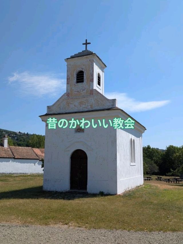 🌸 センテンドレ半日観光、最高の癒し旅！ 🌸