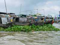 Exploring the Mekong Delta: A Peaceful Day in Cai Be Village