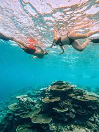 Snorkeling in the Maldives: What to Expect and How Much It Costs