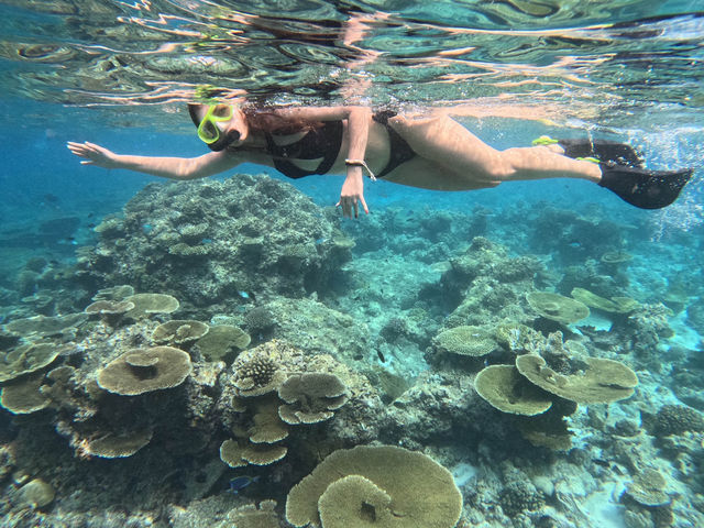 Scuba Diving in the Maldives: Why It’s the Perfect Destination and How to Plan Your Trip