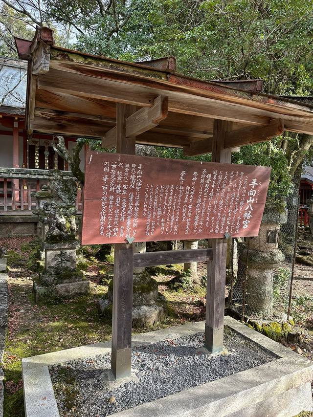 Nara’s Enchanting Shrines & Sacred Deer Encounters