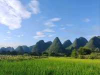 🌿 Guilin’s Timeless Charm: Karst Peaks & Golden Fields