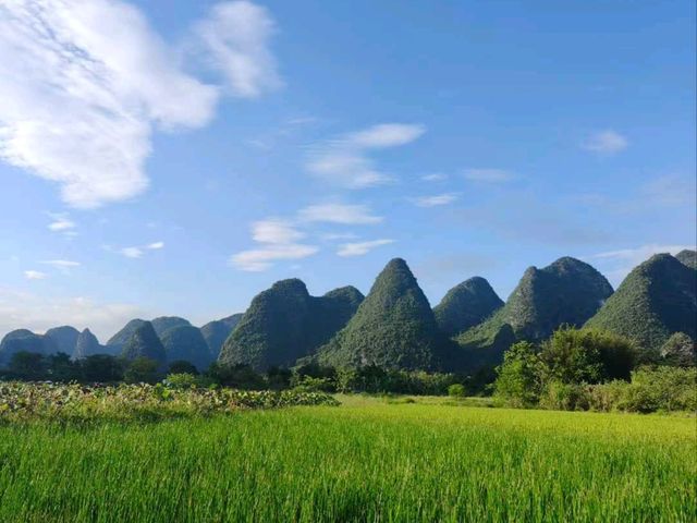 🌿 Guilin’s Timeless Charm: Karst Peaks & Golden Fields