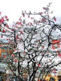 Snow-Kissed Spirits of Zermatt