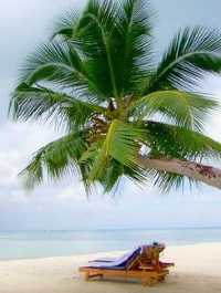 Experience Paradise at Furaveri Island Resort & Spa 