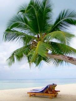 Experience Paradise at Furaveri Island Resort & Spa 