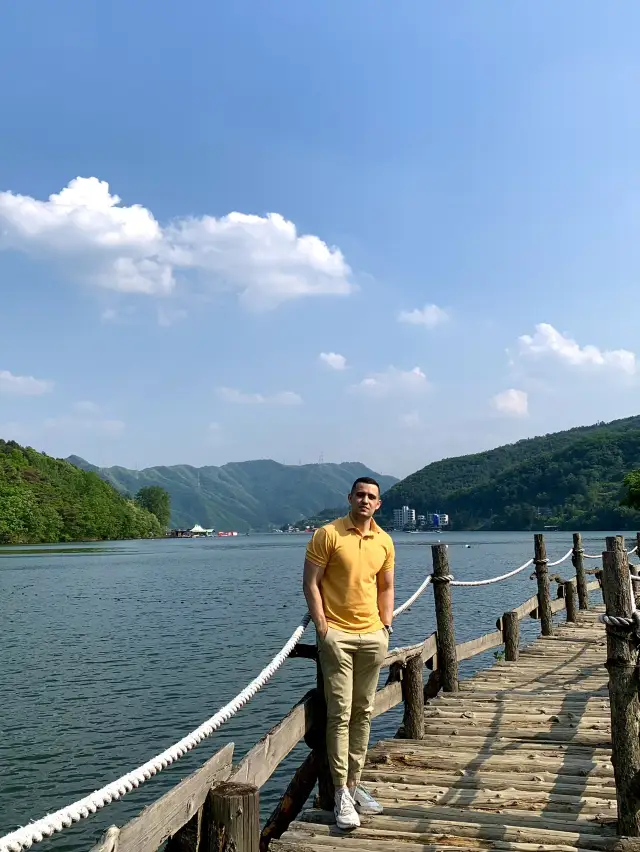 Nami Island: 서울에서의 완벽한 당일치기 여행