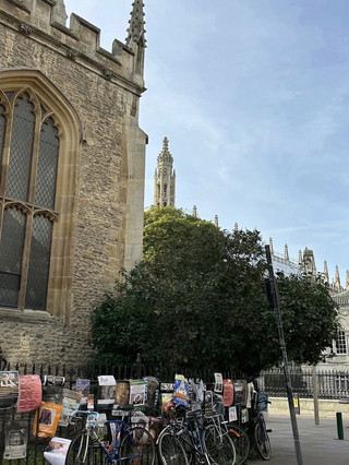 🎓 A Long Weekend in Cambridge: History, Colleges & Riverside Charm 🇬🇧✨