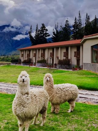 Ollantaytambo, Peru — one of the most beautiful gems of the Sacred Valley of the Incas.

Surrounded by breathtaking mountains, this charming town is home to impressive Inca ruins, cobblestone streets, friendly llamas, and unforgettable landscapes. Walking through its ancient terraces and stone pathways feels like stepping back into the glorious days of the Inca Empire.

With its peaceful atmosphere, rich history, and stunning scenery, Ollantaytambo is a destination that captures the true spirit of Peru. 🦙🏔️✨
