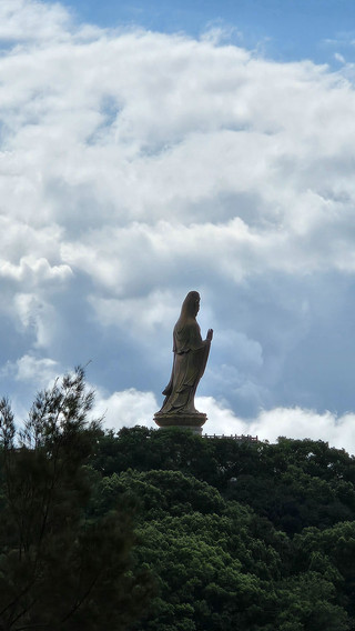 歷史與自然兼備，普陀山風景區體驗點評