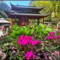 Three Gorges Waterfall 😱