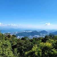 A Forest Adventure: The Habitat at Penang Hill 🌳🐦🌺