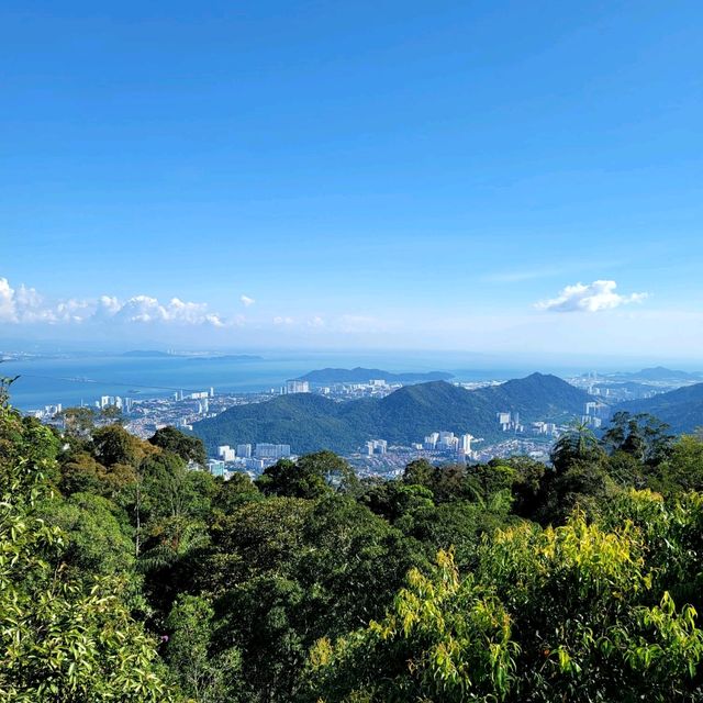 A Forest Adventure: The Habitat at Penang Hill 🌳🐦🌺