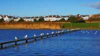 England's stunning beach, Crosby Beach in late autumn.