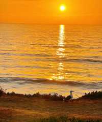 Sunset cliff magnificent scenery, enjoy the stunning scenery across the ocean.