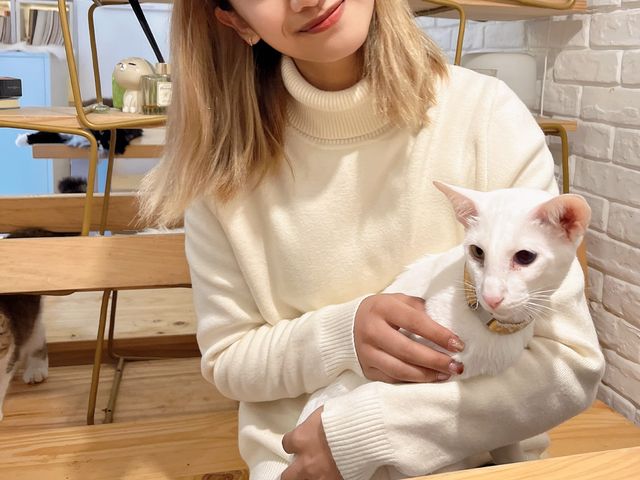 Cuddles, Coffees, and Kitties 🐾☕🐱