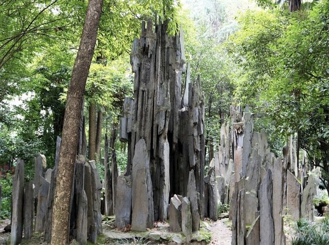 A Must Visit Monastery in Chengdu🇨🇳