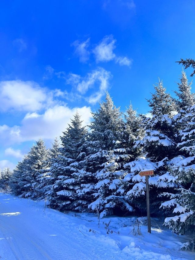 長白山雪嶺，真的巨美！！！