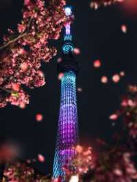 The Ultimate Guide to Tokyo Skytree