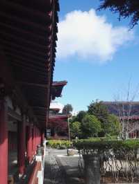 新西蘭：北島佛光山“有您真好”！