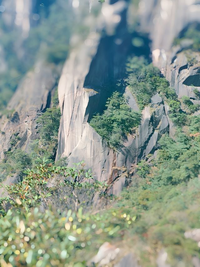 三清山,在14億年花崗岩包圍中的秀美石林 三清山,在14億年花崗岩包圍中的秀美石林