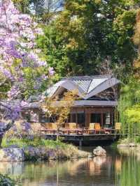 【禪意花都，Four Seasons Hotel Kyoto